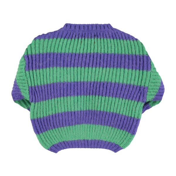 Knitted sweater Green & purple stripes piupiuchick 2