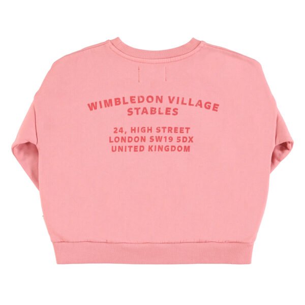 Sweatshirt Pink multicolor house print piupiuchick 2