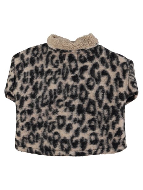 AW25 CT2502 2