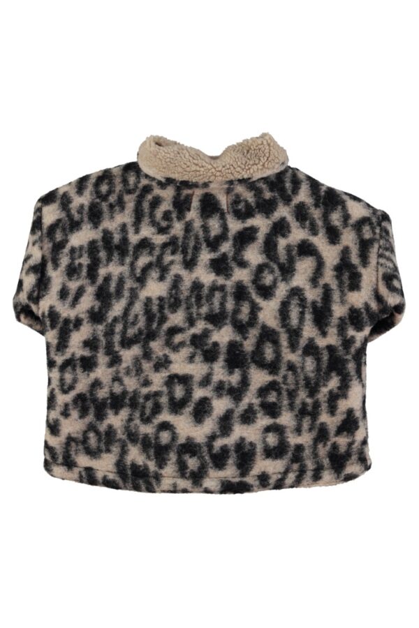 AW25 CT2502 2
